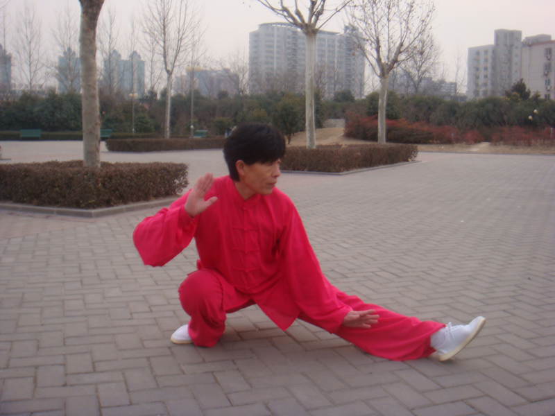 拳照