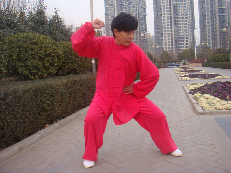 拳照