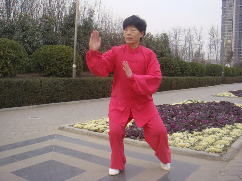 拳照