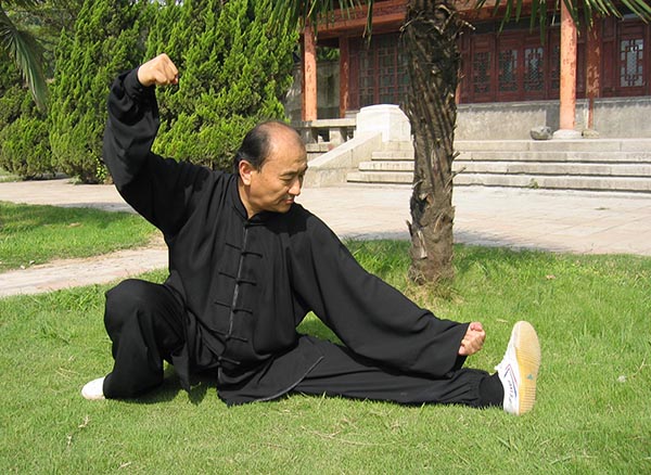 拳照