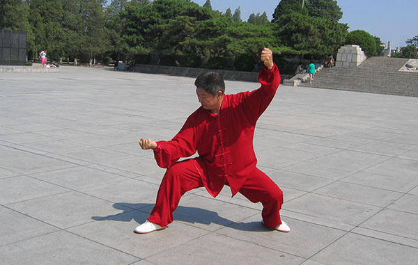 拳照