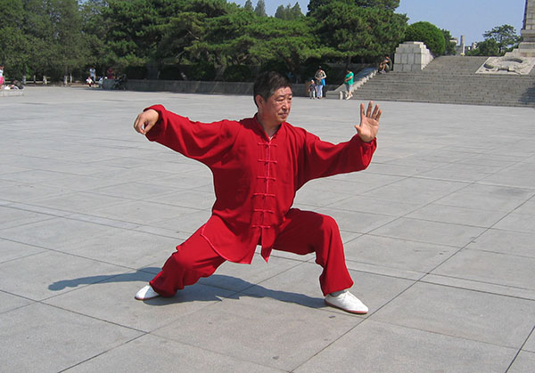 拳照