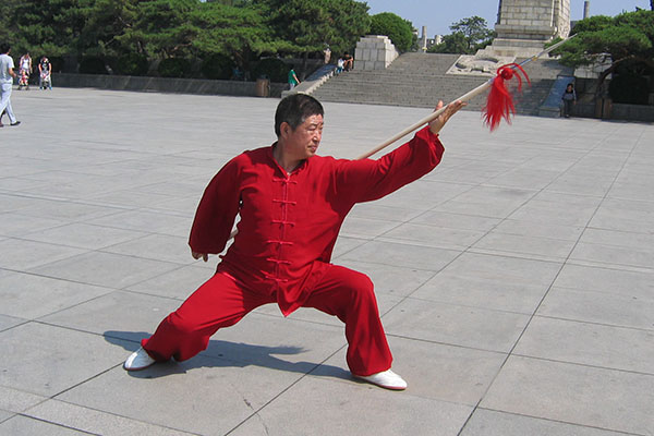 拳照