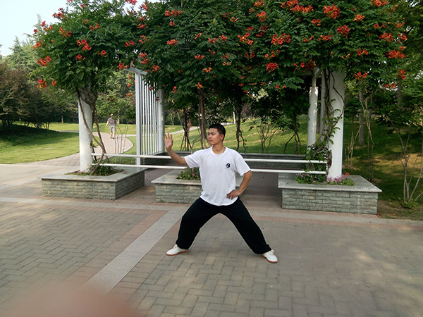 拳照