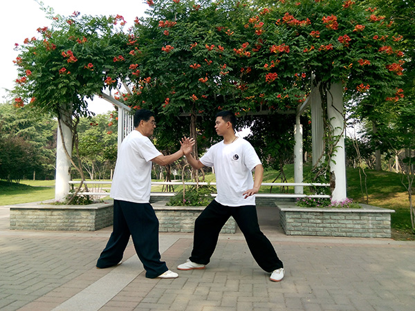 拳照