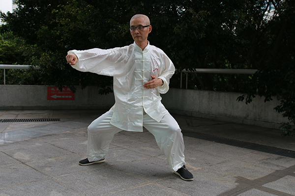 拳照