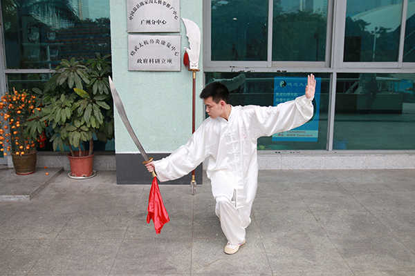 拳照