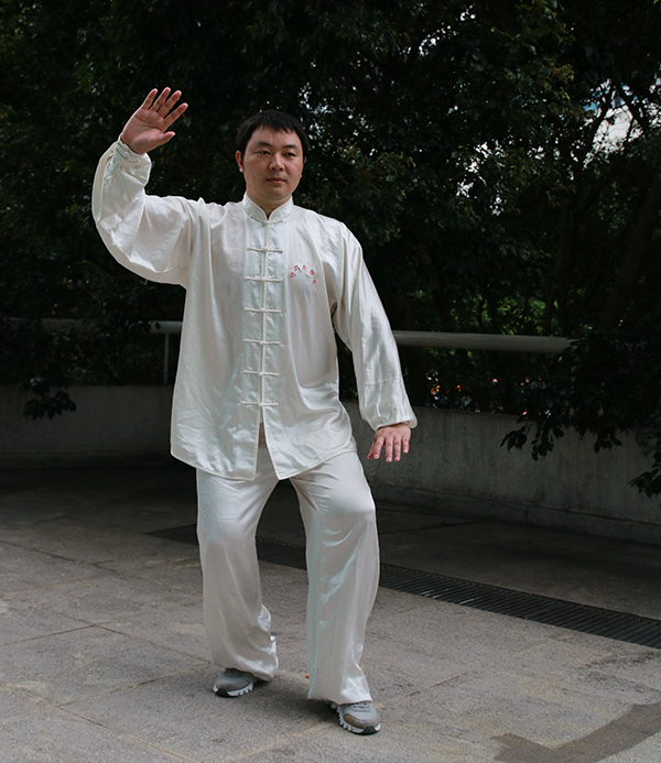 拳照
