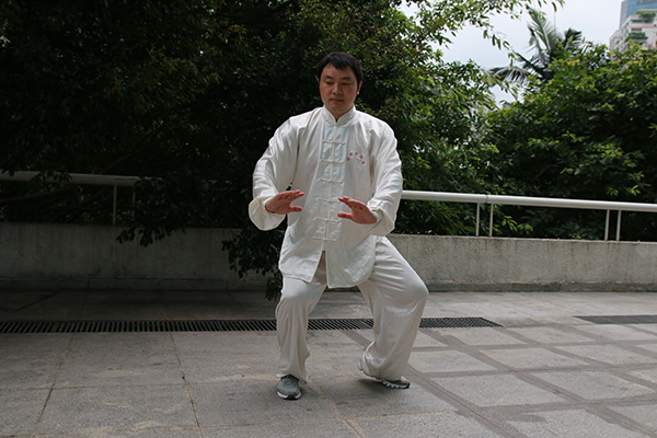 拳照