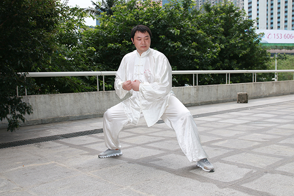 拳照