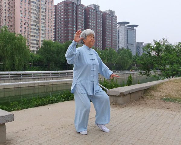 拳照