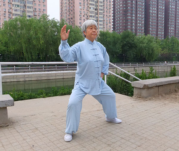 拳照