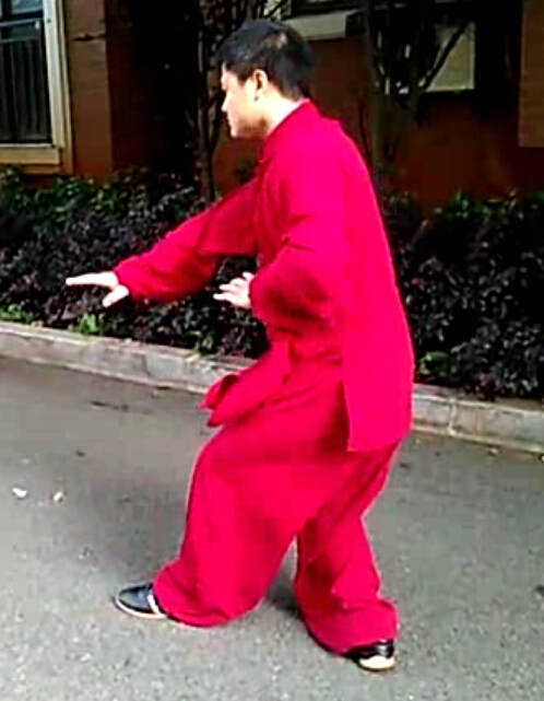 拳照