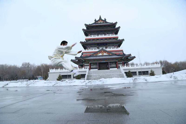 拳照