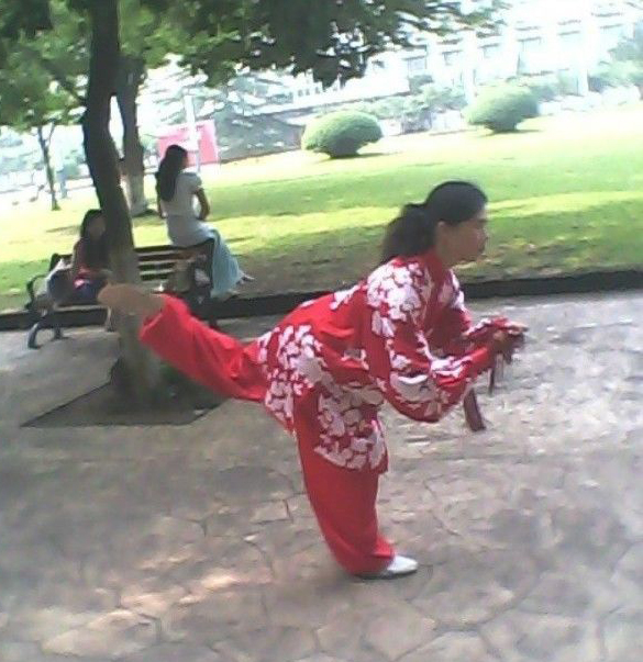 拳照
