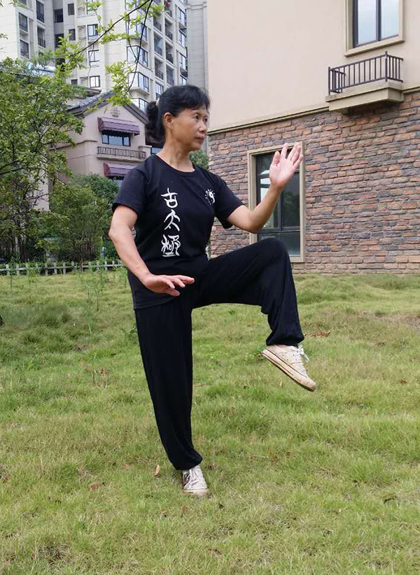 拳照