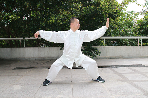 拳照