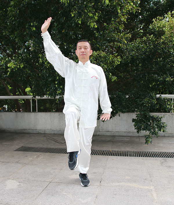 拳照