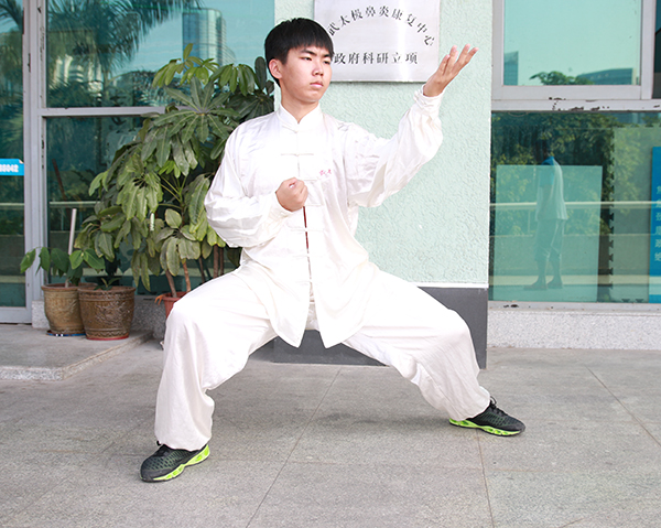 拳照