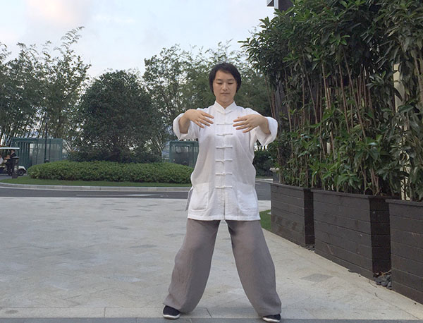 拳照