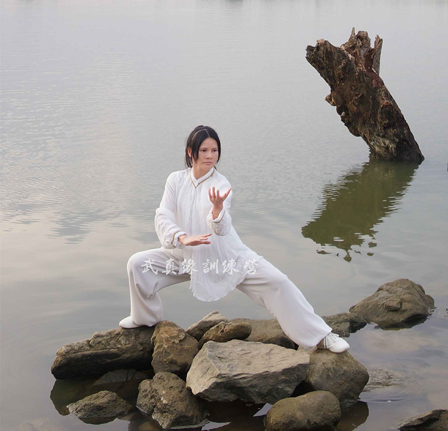 拳照