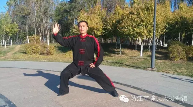 拳照