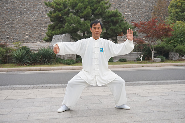 拳照