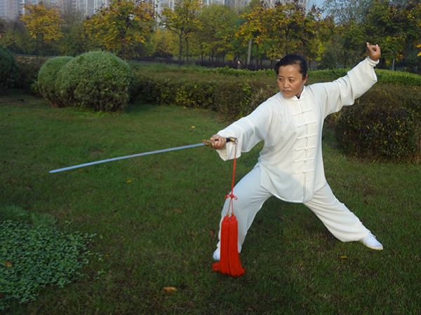 拳照