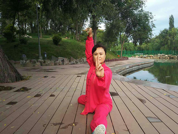 拳照