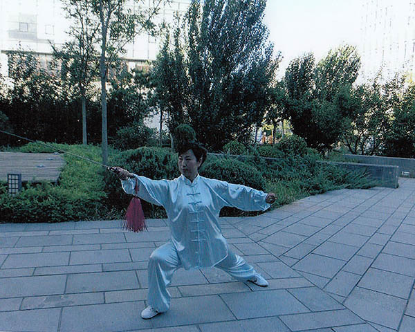 拳照