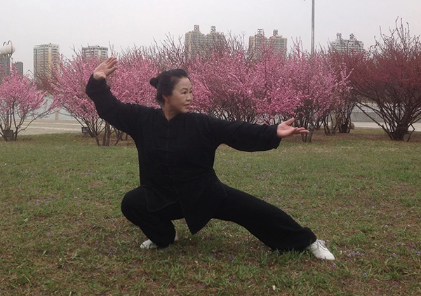 拳照