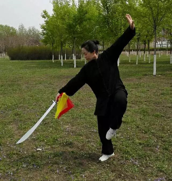 拳照