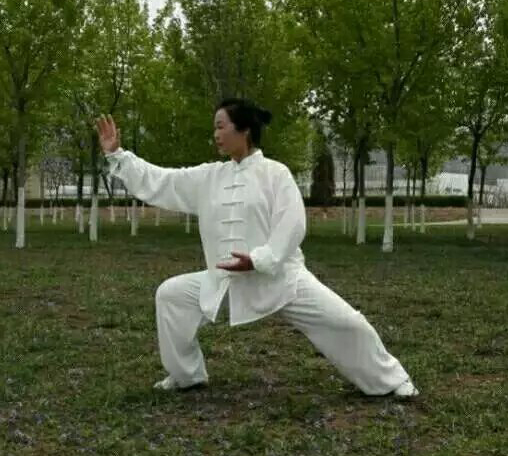拳照