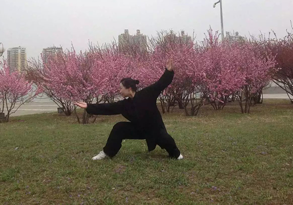 拳照