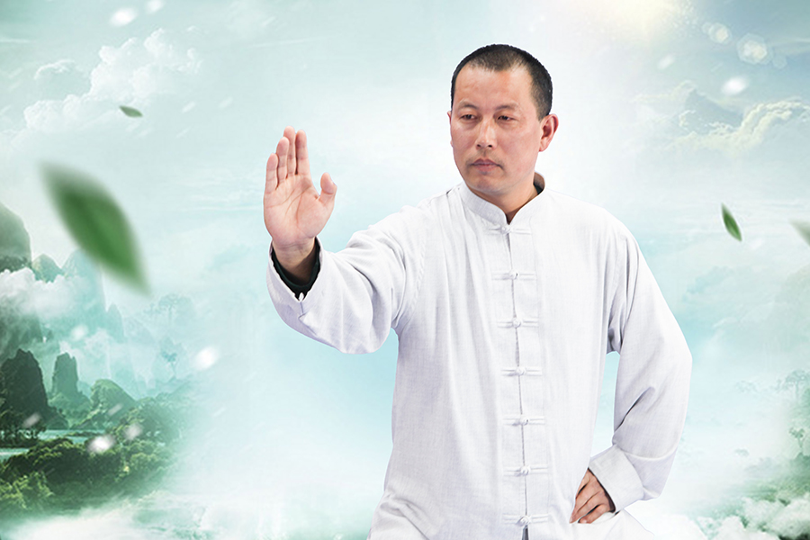 拳照
