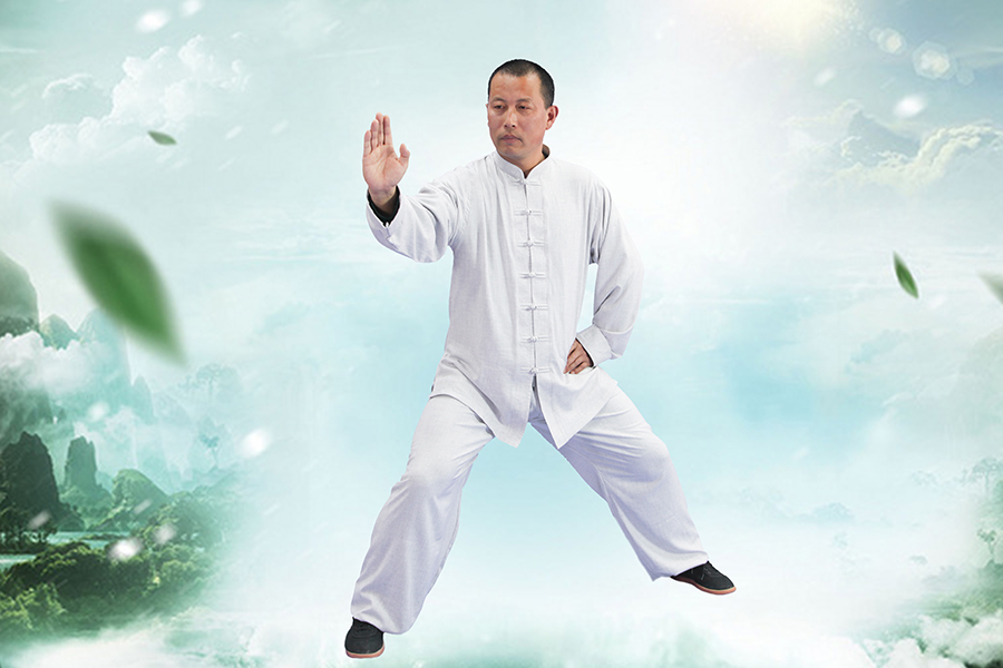 拳照