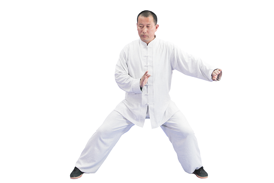 拳照