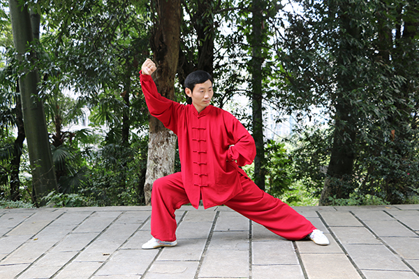 拳照