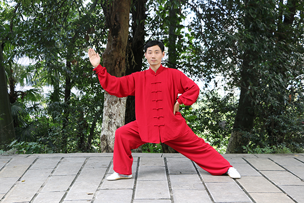 拳照