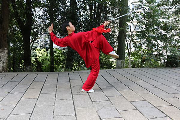拳照
