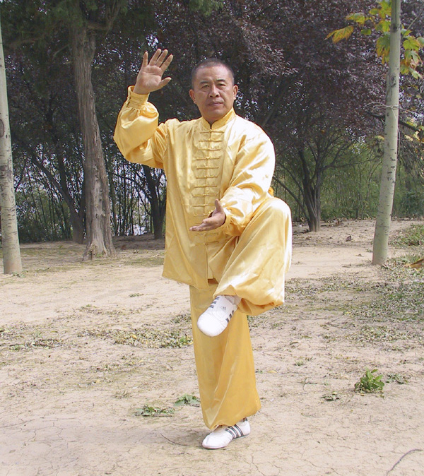 拳照