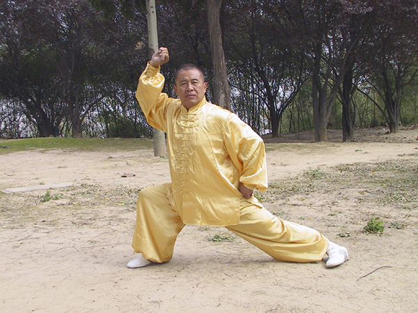 拳照