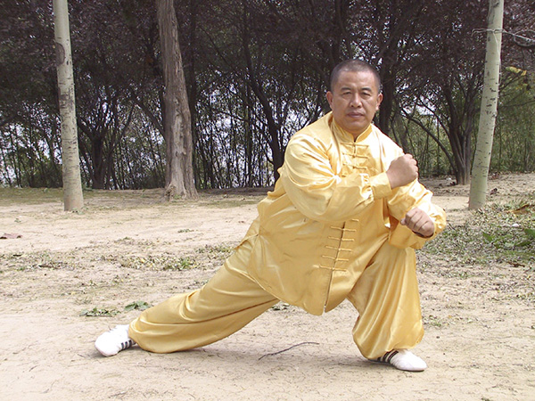 拳照