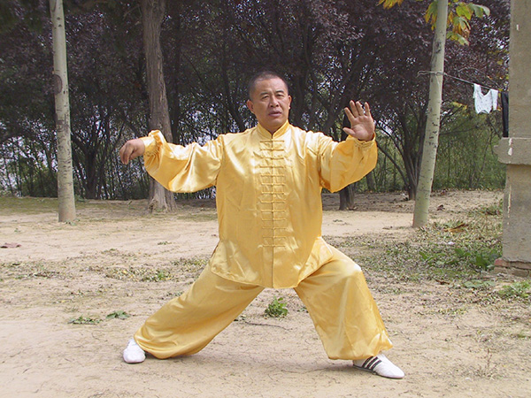 拳照