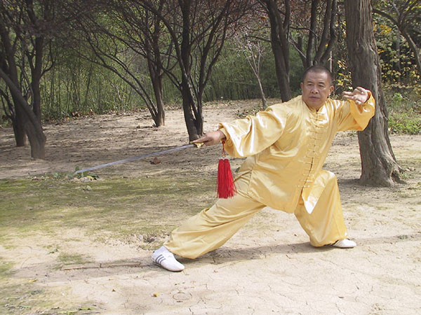 拳照