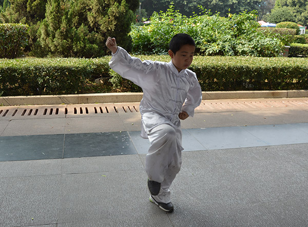 拳照