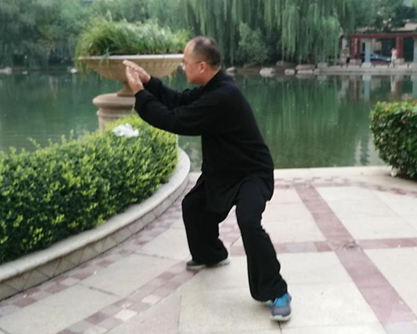 拳照
