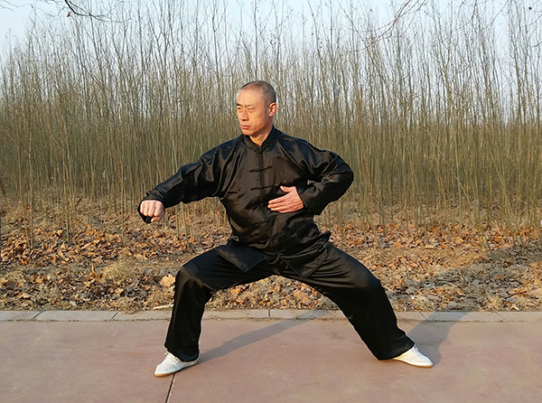 拳照
