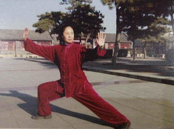 拳照