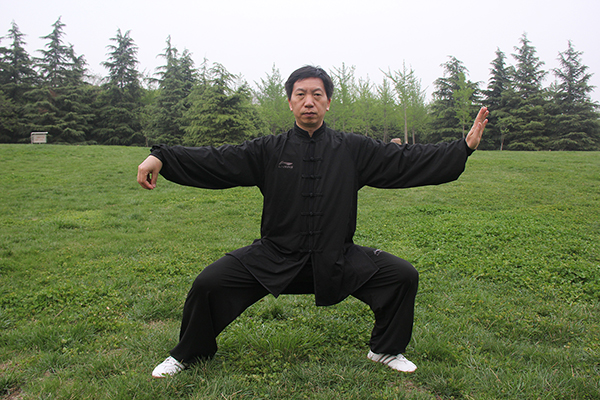 拳照